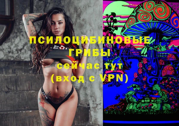 Альфа ПВП Нягань