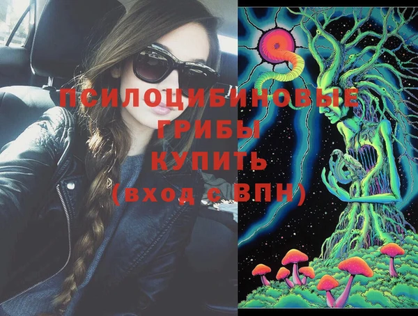 герыч Няндома
