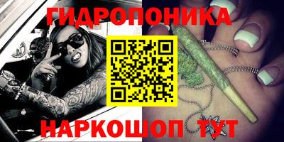 ПСИЛОЦИБИНОВЫЕ ГРИБЫ Усть-Джегута