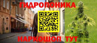 ПСИЛОЦИБИНОВЫЕ ГРИБЫ Усть-Джегута