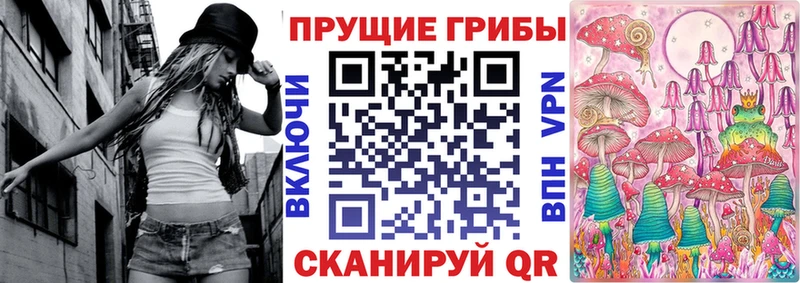 дарнет шоп  Саратов  Псилоцибиновые грибы Psilocybine cubensis 