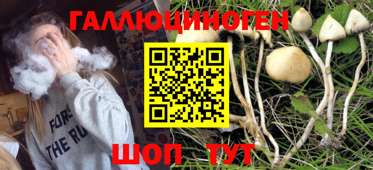Саратов  цены наркотик  Вход с VPN  Псилоцибиновые грибы Cubensis 